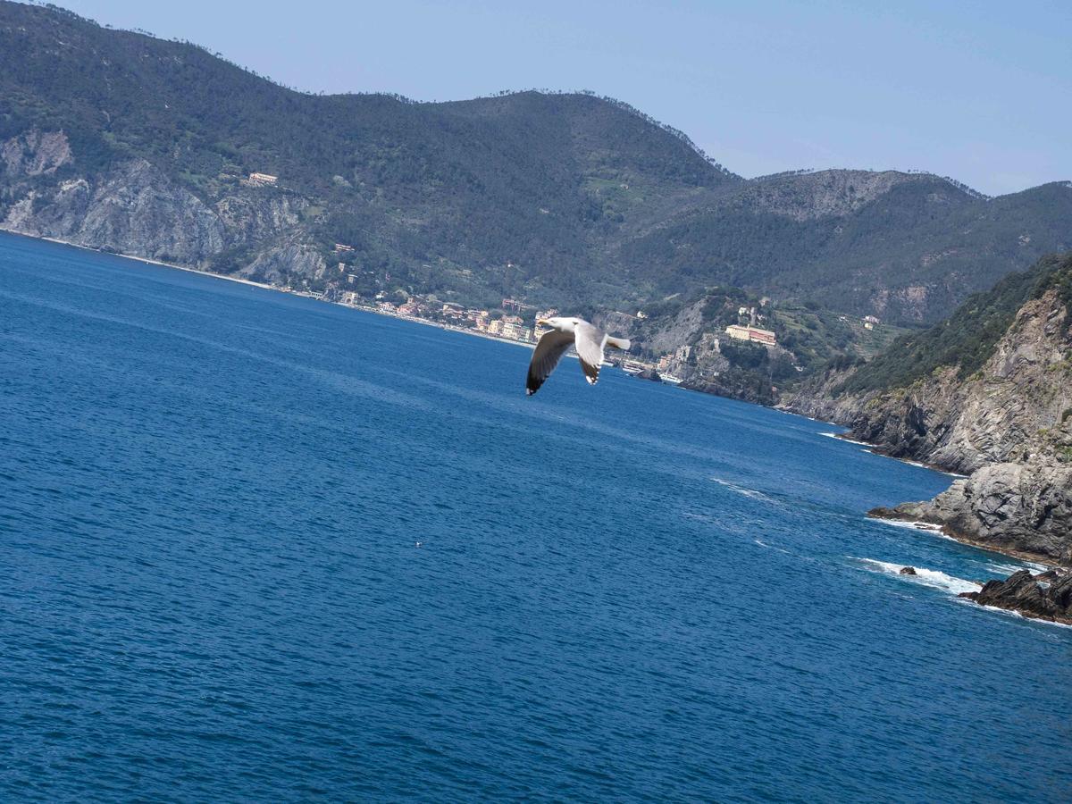 Ventega Sea View Apartment Vernazza Bagian luar foto